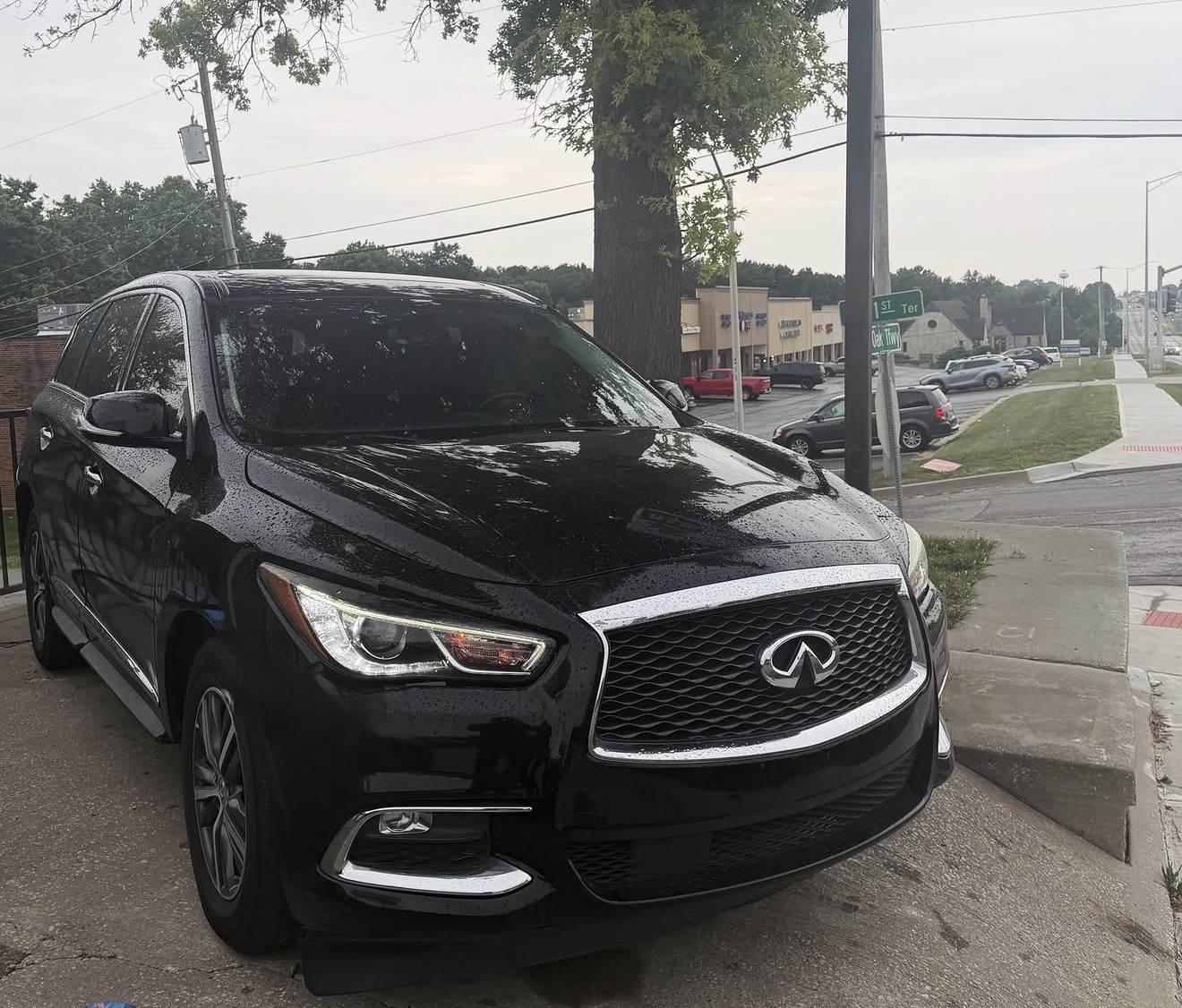 2019 INFINITI QX60 photo 3